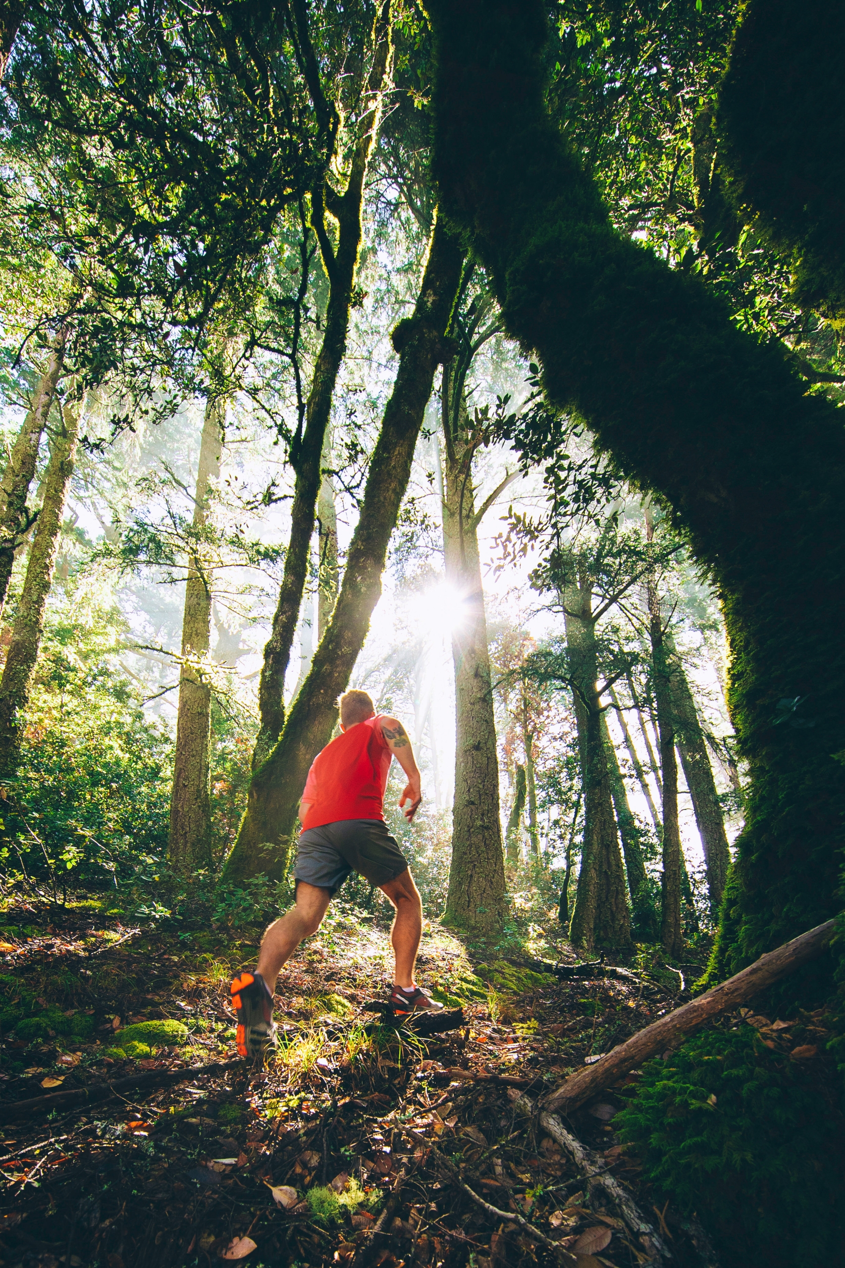 man hiking in the woods