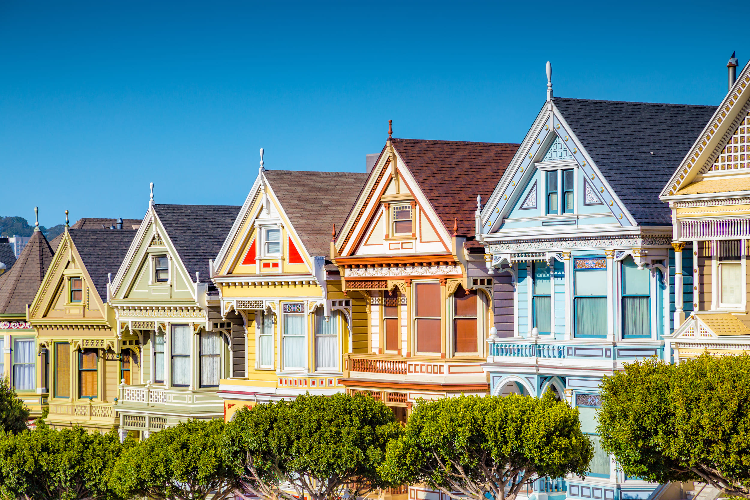 painted ladies
