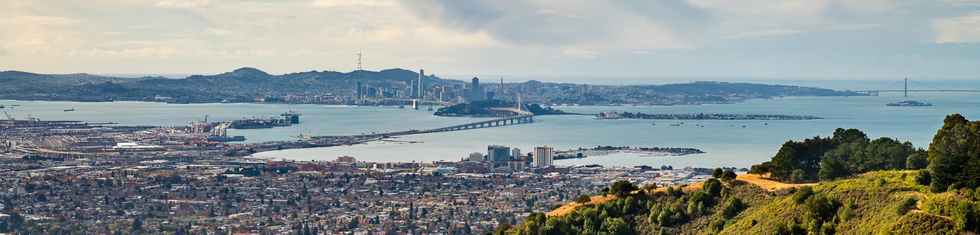 aerial shot of san francisco skyline