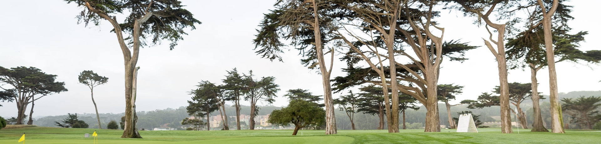 golf course