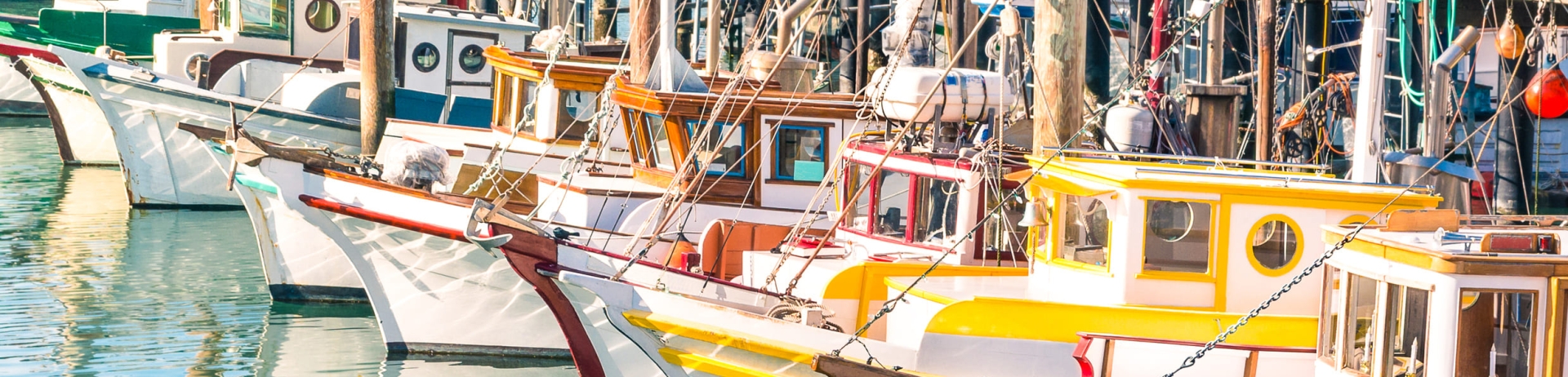 boats docked at marina
