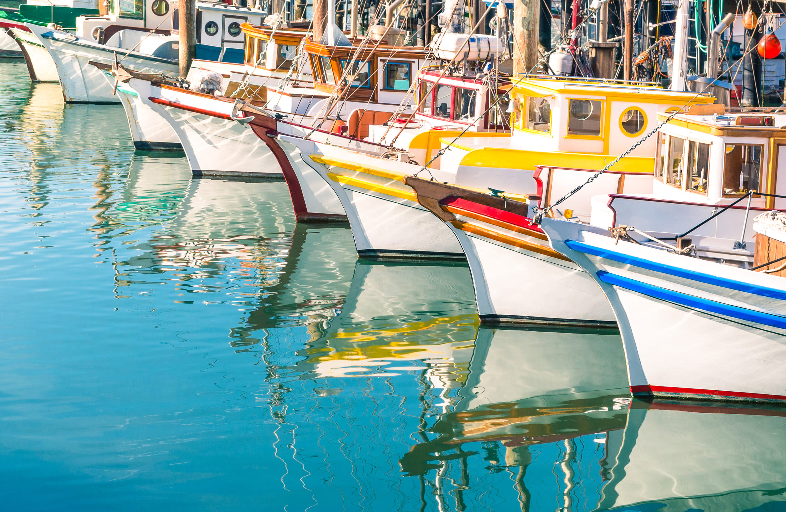 boats docked at marina