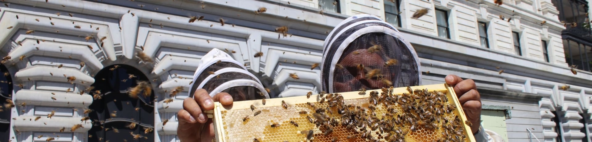 man holding bee hive
