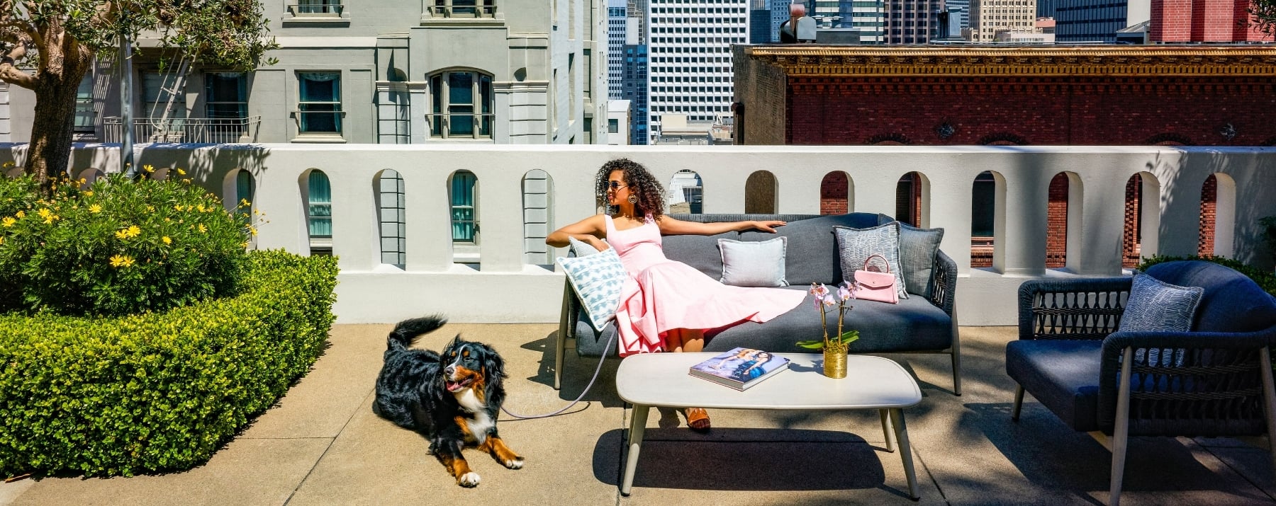 Woman lounging on chairs with dog on rooftop garden